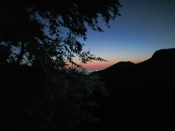 IMG20260504043449.jpg