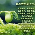 上师法语图片